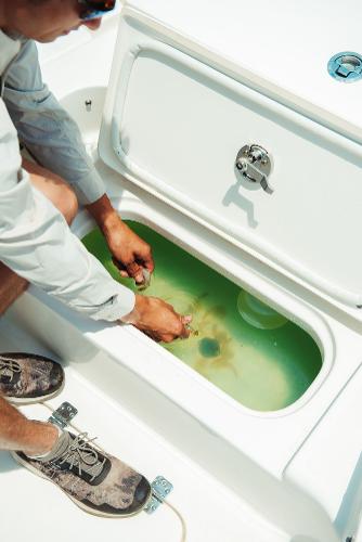 Slide: The Image of Person using livewell on 2024 Key West 188 Bay Reef boat. - 19