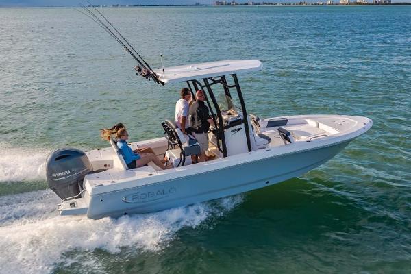 Slide: The Image of FROM THE ROBALO BROCHURE - 19
