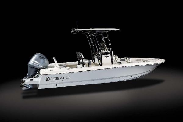 Slide: The Image of FROM THE ROBALO BROCHURE - 21
