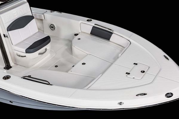 Slide: The Image of FROM THE ROBALO BROCHURE - 25