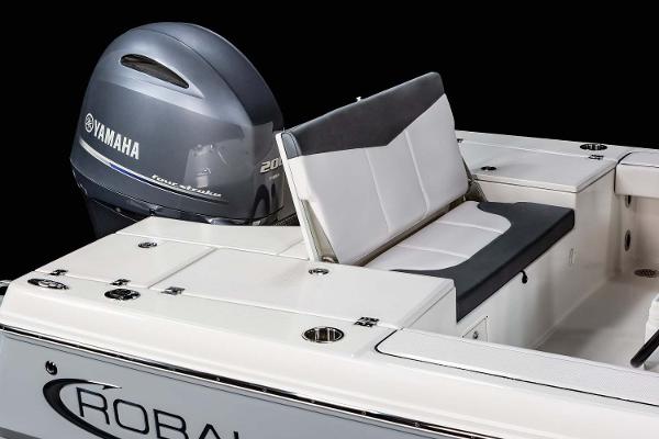 Slide: The Image of FROM THE ROBALO BROCHURE - 31