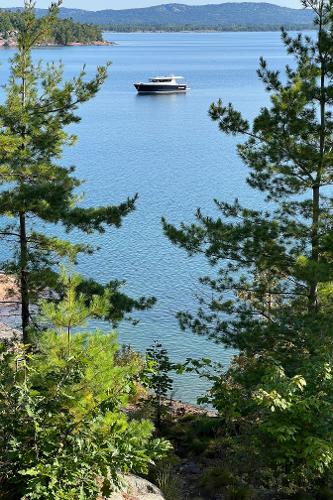 Slide: The Image of Sargo 45 boat on a serene lake surrounded by lush greenery, 2023 model. - 30
