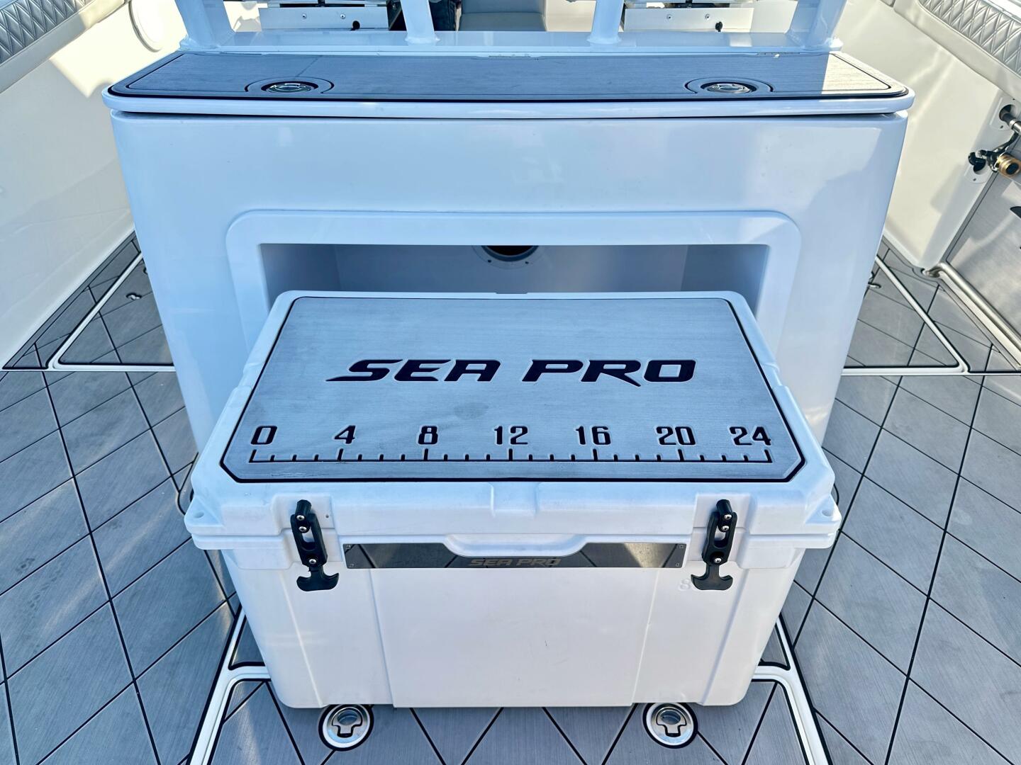 Slide: The Image of Sea Pro 320 DLX 2021 - 4270618
