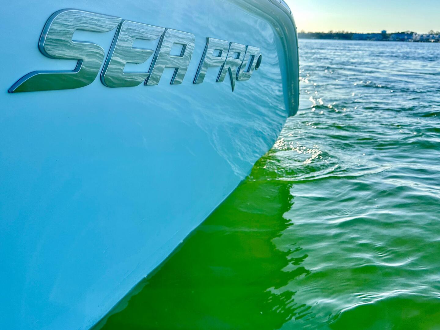 Slide: The Image of Sea Pro 320 DLX 2021 - 4270620