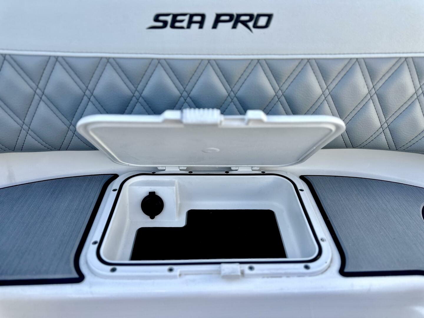 Slide: The Image of Sea Pro 320 DLX 2021 - 4270622