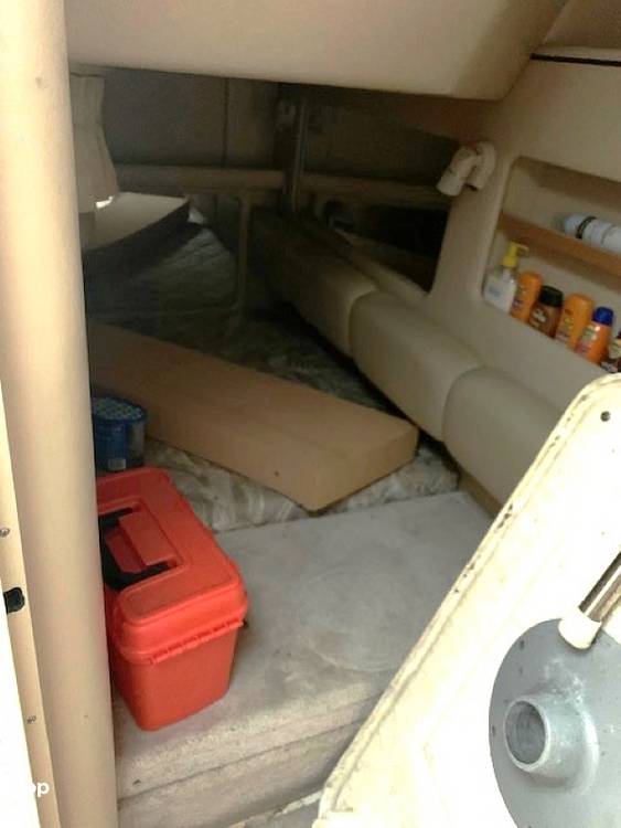 Slide: The Image of Sea Ray 290 Sundancer 1998 - 14197567